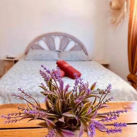 My Appartement *